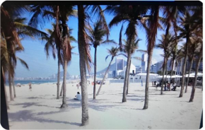 Temporada Copacabana Ale
